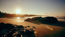 Chesterman Beach Sunrise Low Tide