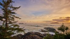 Looking South from The Pointe