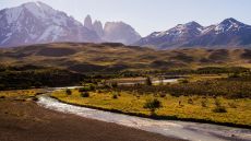 Landscapes with lamas