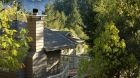 treeline cottage lodge
