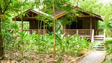 Pico Bonito building