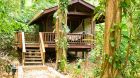 Pico Bonito Treehouse