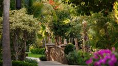 Garden Details at One Only Palmilla
