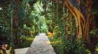Jungle Walk Belmond Maroma Resort