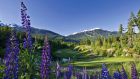 golf flowers Fairmont Chateau Whistler
