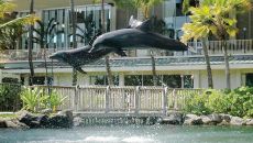 Dolphin Lagoon at The Kahala Hotel