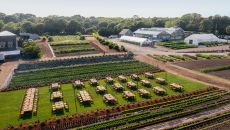 CBI summer Aerial 0039 at Chatham Bars Inn