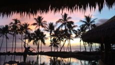Dining Humuhumunukunukuap humu at Grand Wailea A Waldorf Astoria Resort