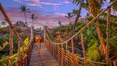 Hero Shots DSC8241 at Grand Wailea A Waldorf Astoria Resort