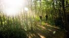 Mountain Bike Trail