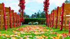 Wedding on Palm Courtyard Park Hyatt Aviara Resort.