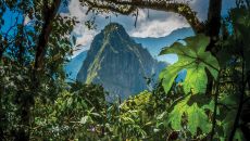 MPS EXT GDN 17 at Sanctuary Lodge A Belmond Hotel Machu Picchu