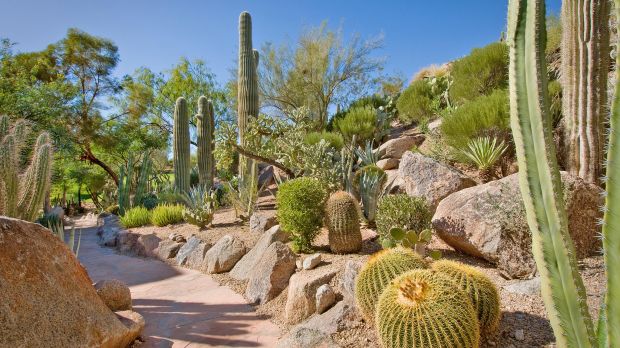 The Phoenician, Phoenix, Arizona