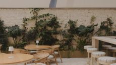 outdoor space at Casona Roma Norte