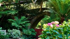 Swan Lake 0364 SQ Hotel Bel Air