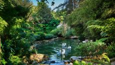 details 567 v2 Hotel Bel Air