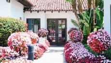 Spa Courtyard in Bloom