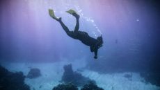 Foundation Coral Replanting at Golden Eye