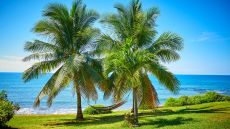  Treasure  Cottage lawn  view