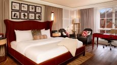 Deluxe King Guest Room