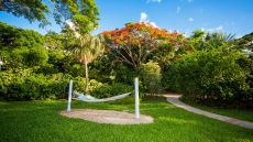 hammock at East Winds Inn