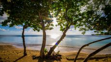 waterfront scene at East Winds Inn