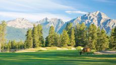 golf with elk
