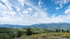 trapperpeakspring2020 006 50886188212 o at Triple Creek Ranch