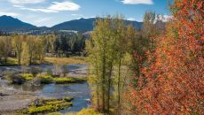 fallcolors003 49666902182 o at Triple Creek Ranch