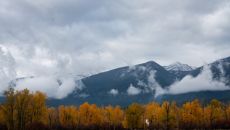 jessicaphotos 102621 photosafari28 51634367594 o at Triple Creek Ranch