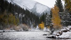 tcr jbrown011 48914623067 o at Triple Creek Ranch