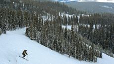 krow1686 30826304764 o at Triple Creek Ranch