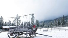 tcr jbrown008 49278705986 o at Triple Creek Ranch