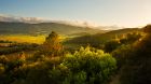 napa valley