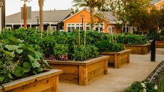 Culinary Gardens at Carneros Resort and Spa