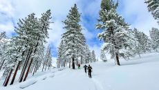Tahoe Adventure Curated Activity Snowshoe at Hyatt Regency Lake Tahoe Resort