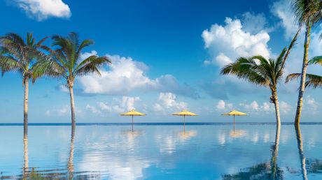 Half Moon Jamaica Montego Bay St James Half Moon Jamaica Montego Bay St James