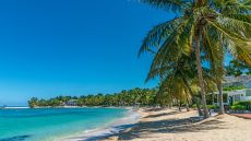  Half  Moon  Sunset  Beach