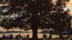 evening silhouette The Tides Inn
