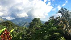 Strawberry Hill IO 7942