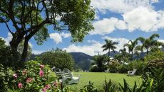 Strawberry Hill SH lawn 5531