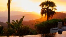 Strawberry Hill IO 8522