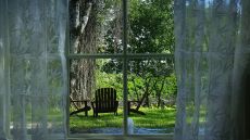  Tropical  Garden  View 