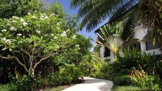 Tropical  Garden  View