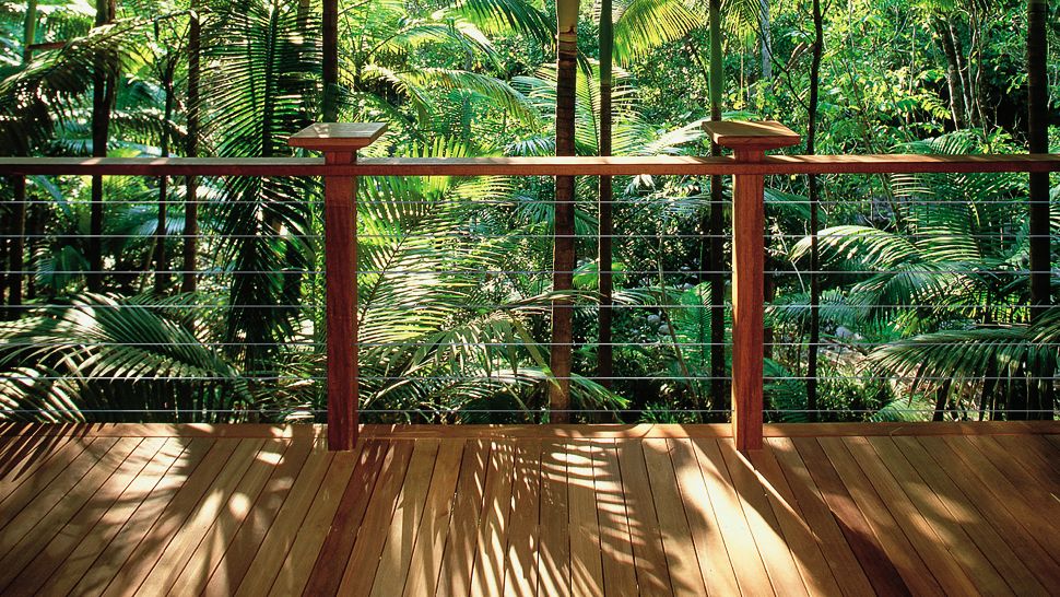 Silky Oaks Lodge Healing Waters Spa Daintree Rainforest - 