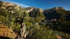 Valley view
