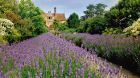 Exterior lavender fields 