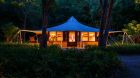 Jungle Tent