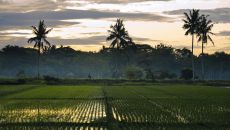 Amanjiwo Indonesia, Java, Borobudur Experience Borobudur Village Amanjiwo 2024