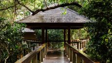 Treetop Casita Amanpulo 2024